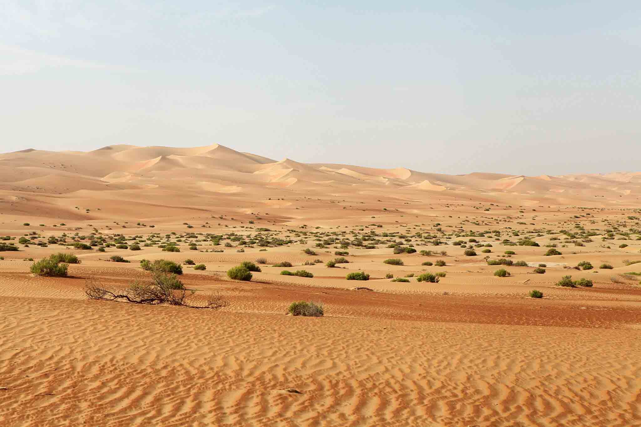 Best Camping Spots In The Uae Dubai Desert Safari Tours