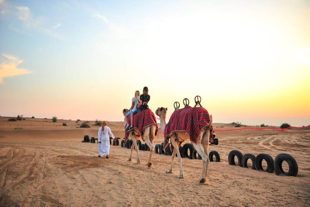 camel riding in desert safari