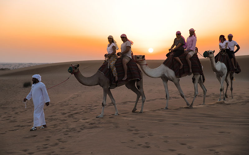 morning desert safari dubai