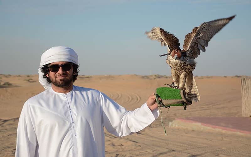 Traditional Falconry