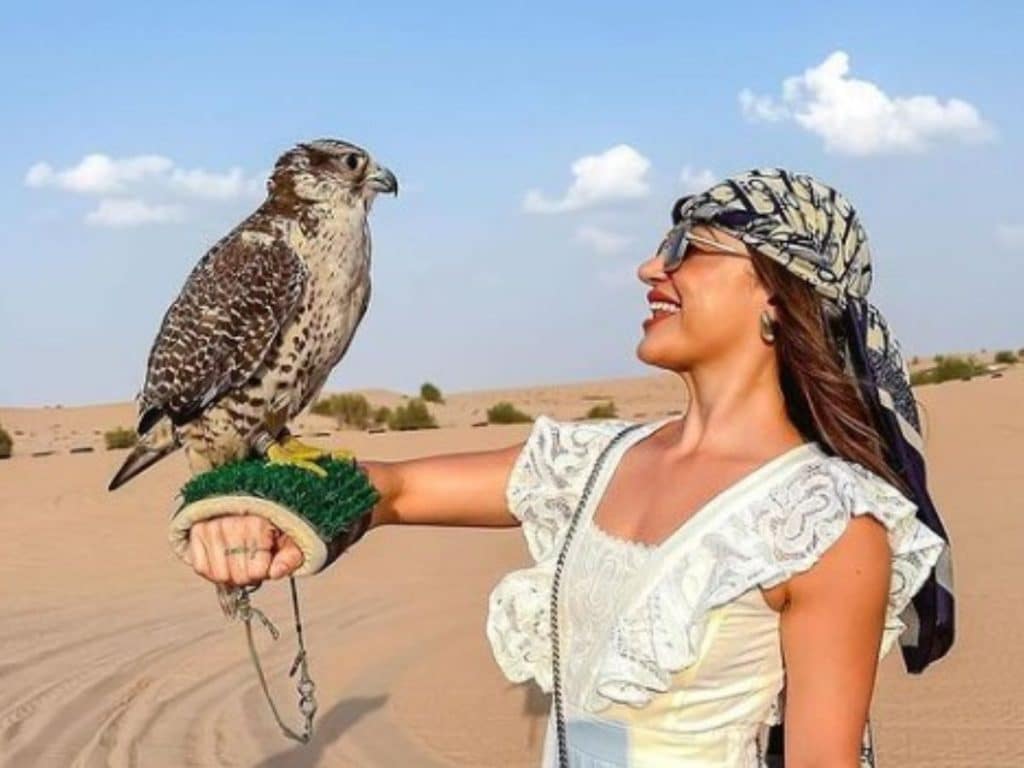 falcon show in Dubai