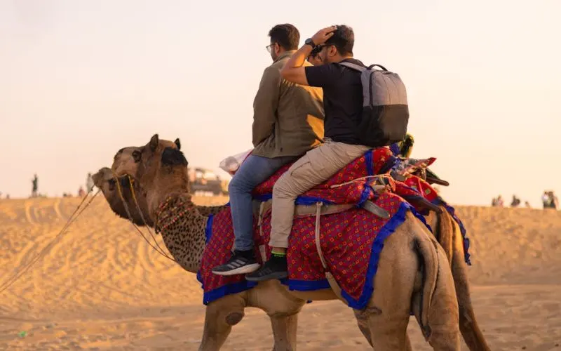 Camel Desert Safari Abu Dhabi