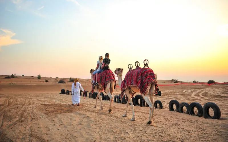 Camel Riding in Abu Dhabi Desert safari